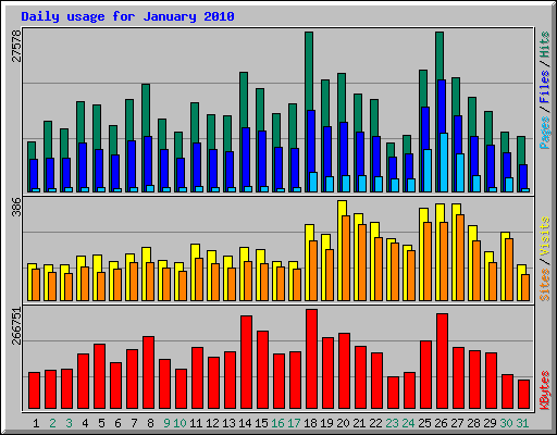 Daily usage for January 2010