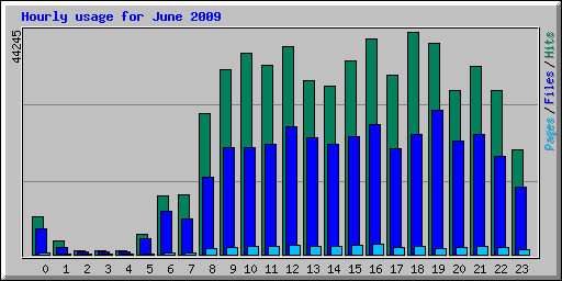 Hourly usage for June 2009