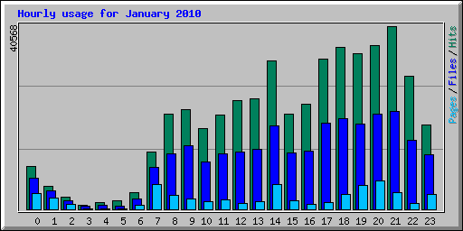 Hourly usage for January 2010