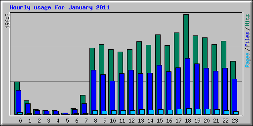 Hourly usage for January 2011